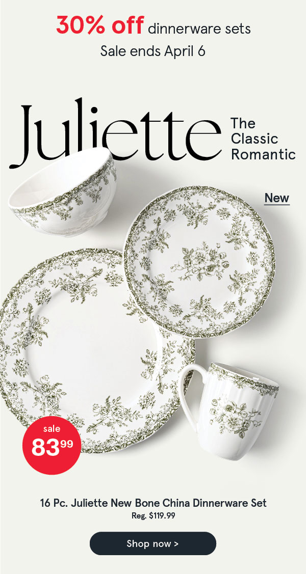 Juliette New Bone China Dinnerware - Set of 16