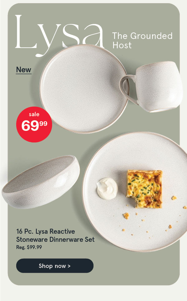Lysa Reactive Stoneware Dinnerware - Set of 16
