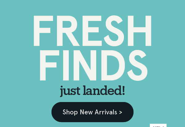 Fresh New Finds