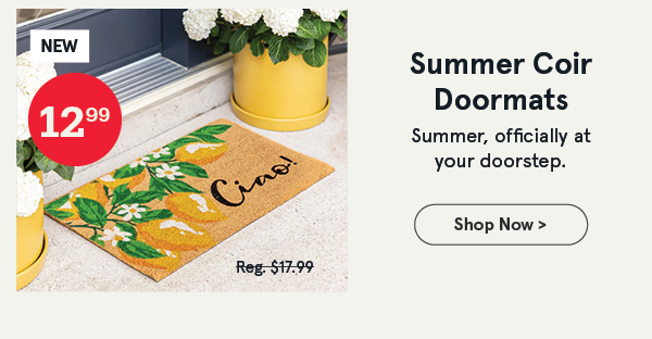 Casual Coir Mats