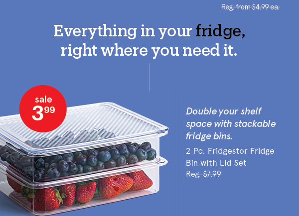 Fridgestor 'Shallow' Fridge Bin with Lid - Set of 2