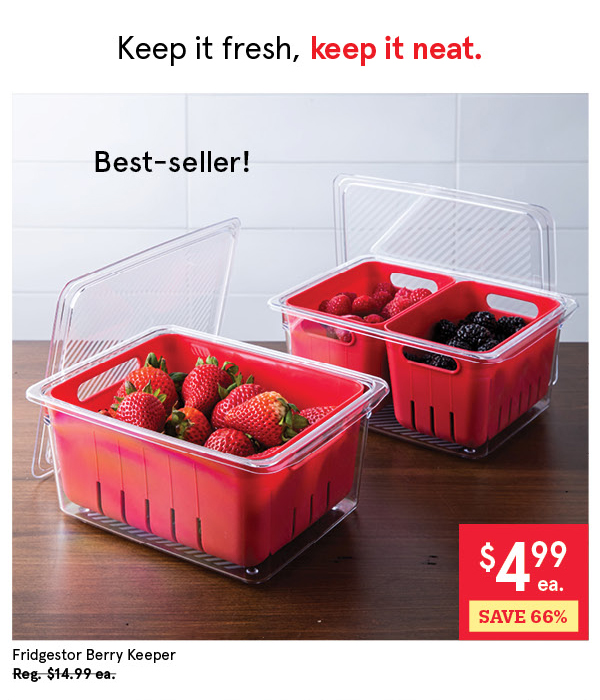 KSP FRIDGESTOR BERRY KEEPER BASKET 6.7" X 8.7" X 3.9" CLEAR/RED