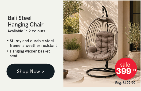 Bali Steel Hanging Chair