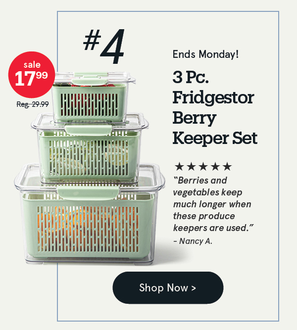 Fridgestor Produce Keeper - Set of 3