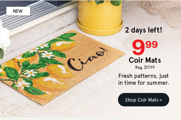 Casual Coir Mats