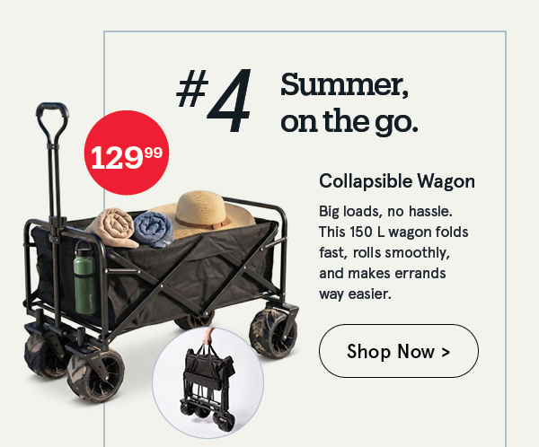 Wheels 'Solid' Collapsible Wagon