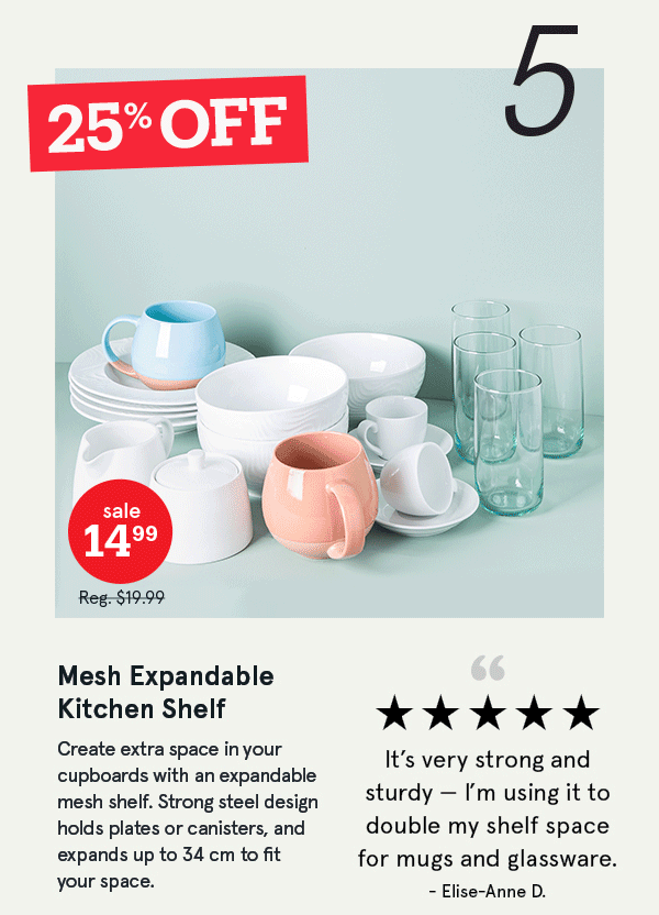 Mesh Expandable Kitchen Shelf