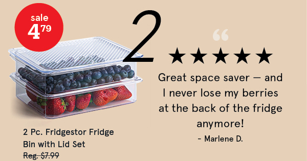 Fridgestor 'Shallow' Fridge Bin with Lid - Set of 2