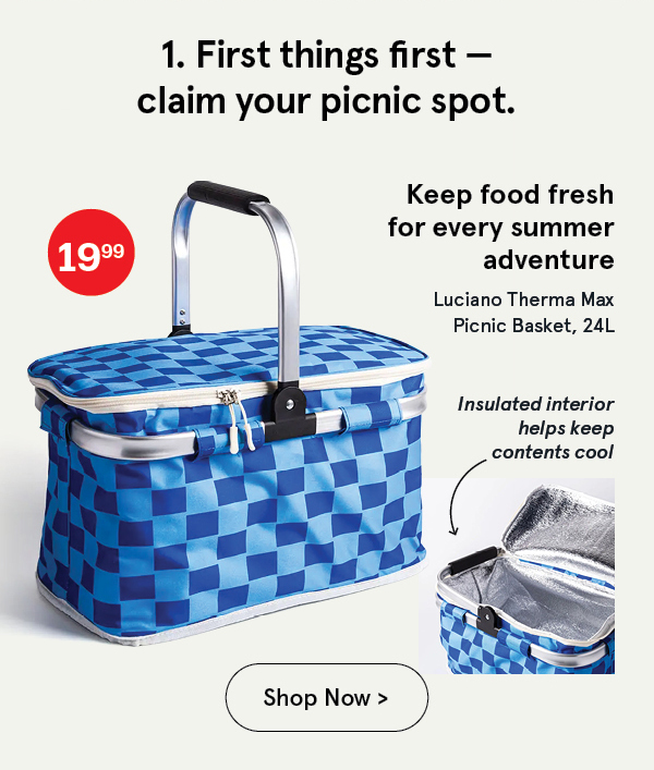 Luciano Therma Max 'Checkered' Picnic Basket
