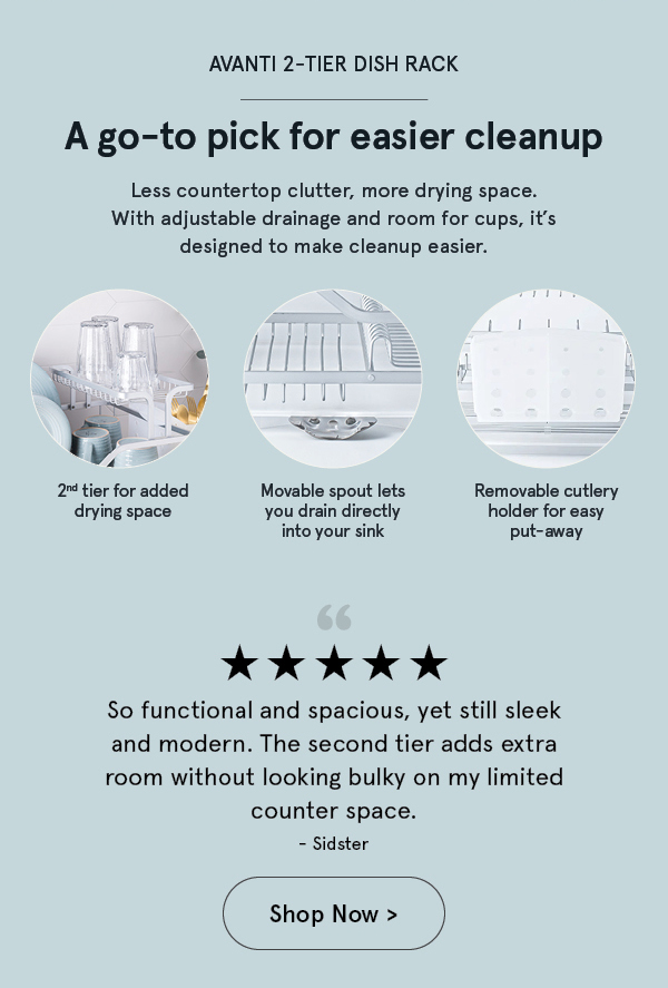Avanti Dish Rack with Tray 2-Tier