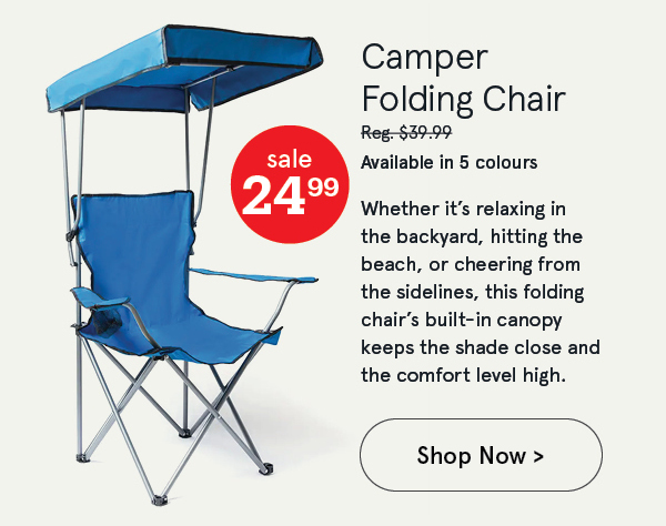 Camper Folding Chair with Canopy