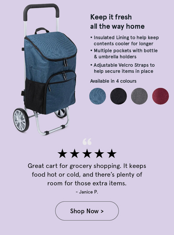 KSP Urban Aluminum Shopping Trolley