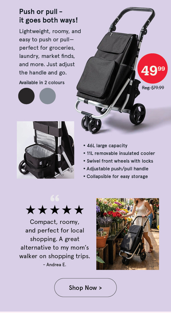 Colleen 'Solid' Shopping Trolley