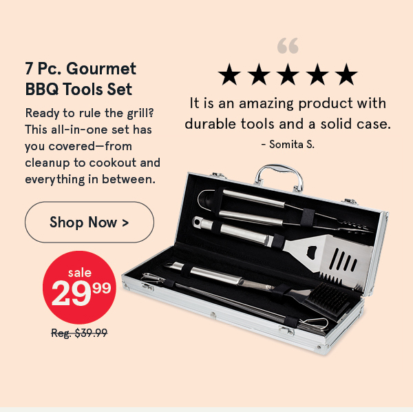 Gourmet Bbq Tools In Aluminum Case - Set of 7