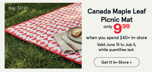 Picnic Mat only $9.99