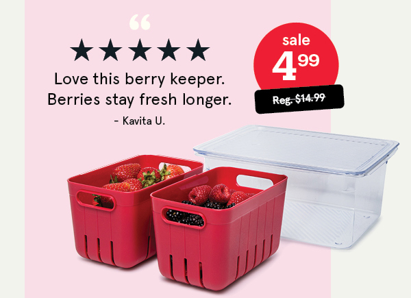Fridgestor Double Basket Berry Keeper