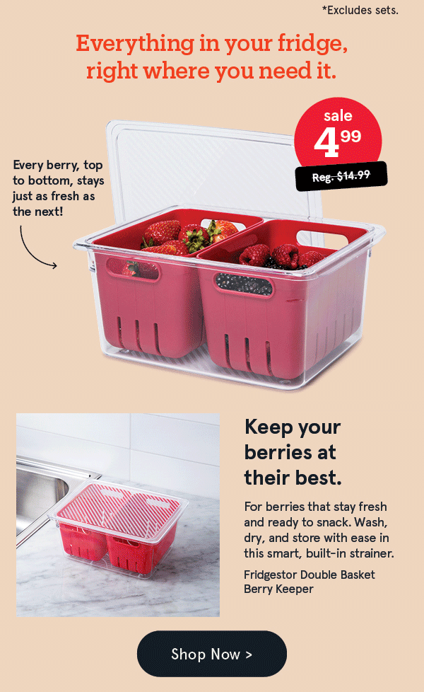 Fridgestor Double Basket Berry Keeper