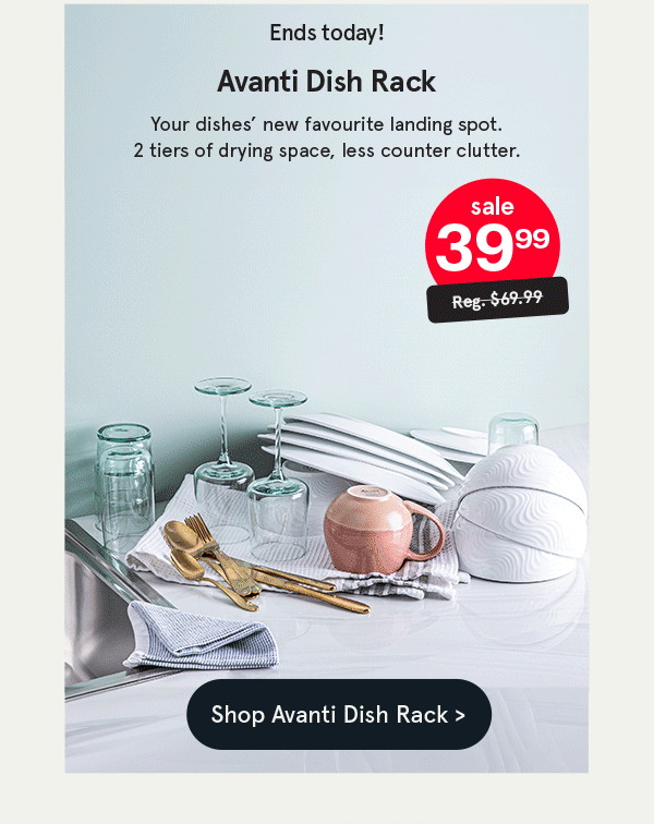 Avanti Dish Rack