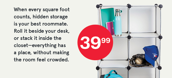 Closet Cube Plastic Storage Cabinet