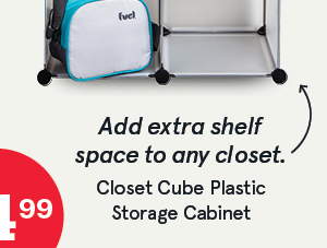 Closet Cube Plastic Storage Cabinet