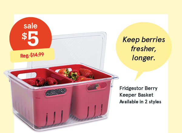 Fridgestor Double Basket Berry Keeper