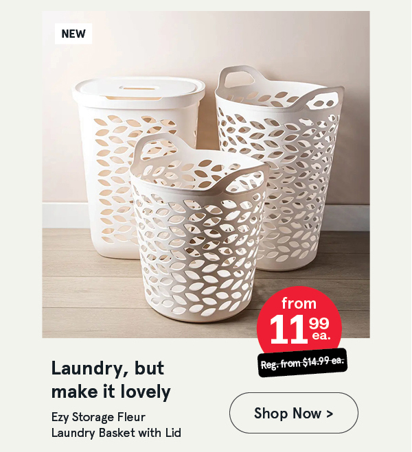 Ezy Storage Laundry Baskets