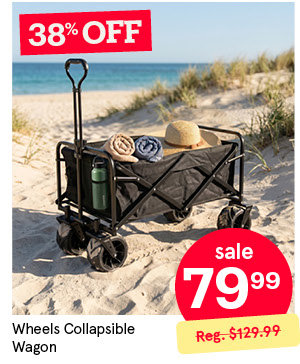 KSP WHEELS COLLAPSIBLE WAGON "SOLID" 99 X 99 X 61 CM BLACK