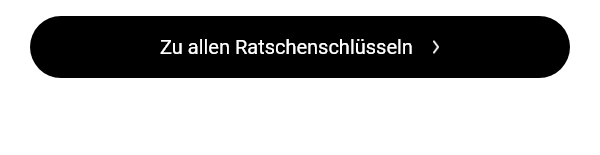 Alle Ratschenschlüssel 