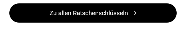 Alle Ratschenschlüssel 