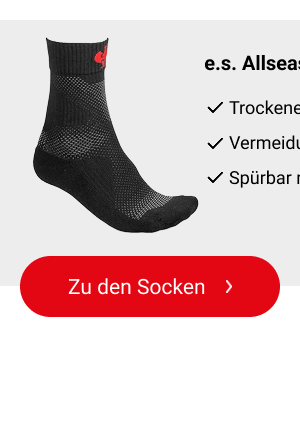 e.s. Allseason Socken Function light/high 