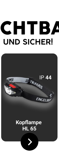 Kopflampe HL 65 