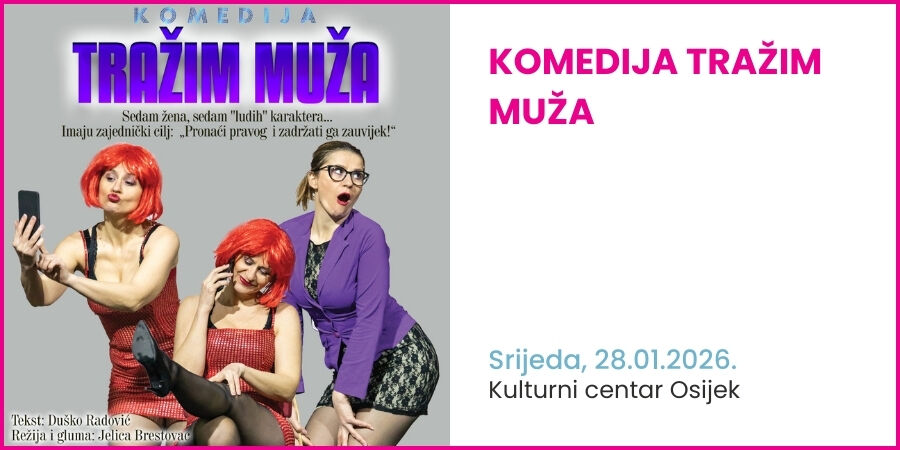 komedija TRAŽIM MUŽA