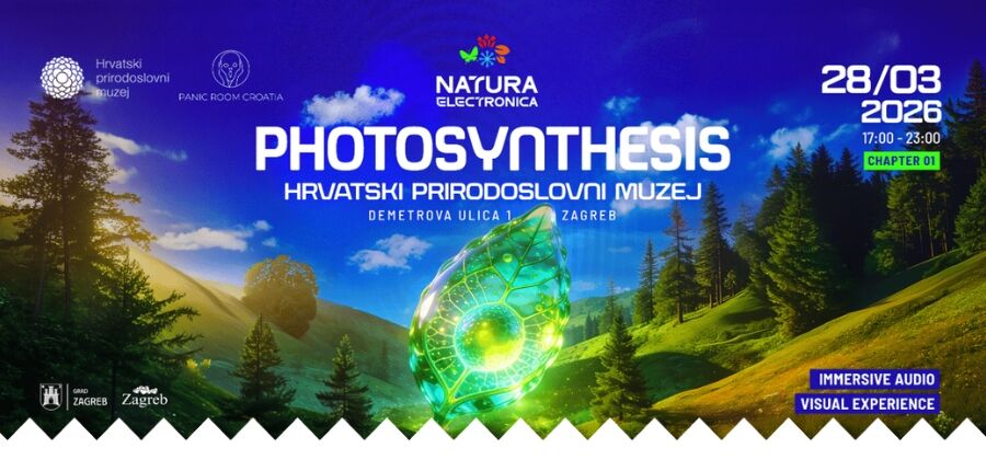 NATURA ELECTRONICA I - PHOTOSYNTHESIS