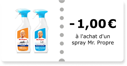 -1,00€ à l'achat d'un spray Mr. Propre