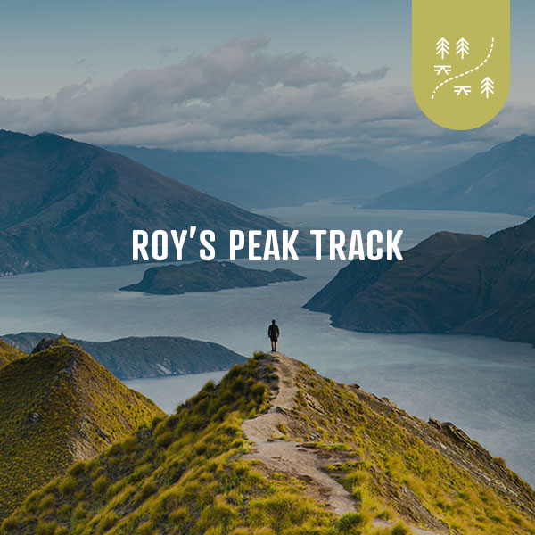 Roy’s Peak Track