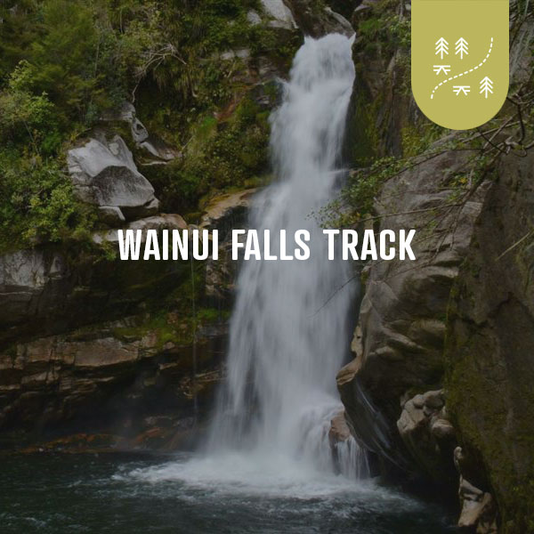 Wainui Falls Track