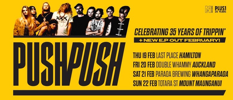 Push Push&nbsp;Tour