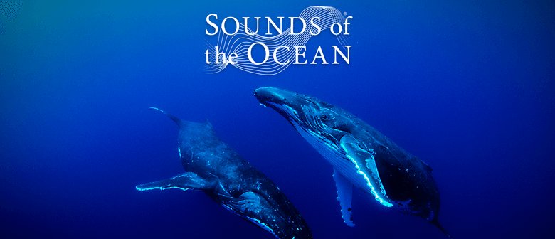 Sounds of the Ocean
