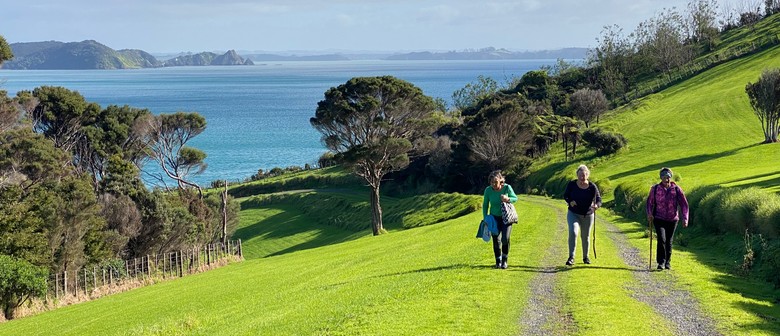 Walk 3 &ndash; The Pāroa Bay Vineyard &ndash; Friday Wine and Dine