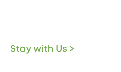 Stay With Us >