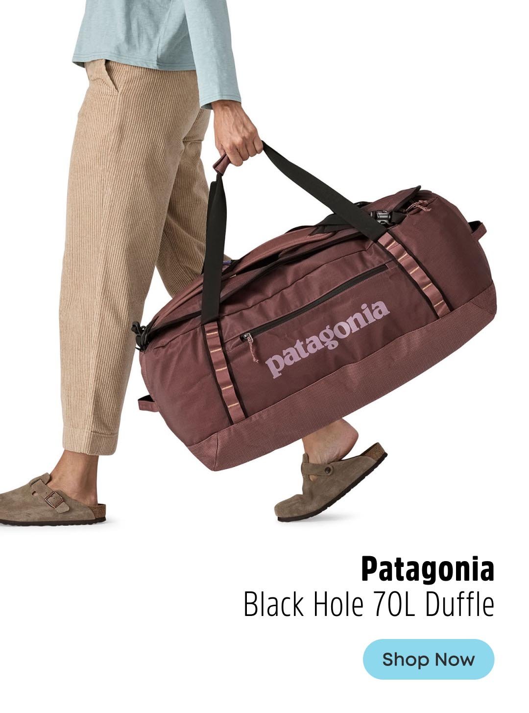 Patagonia Black Hole Duffel