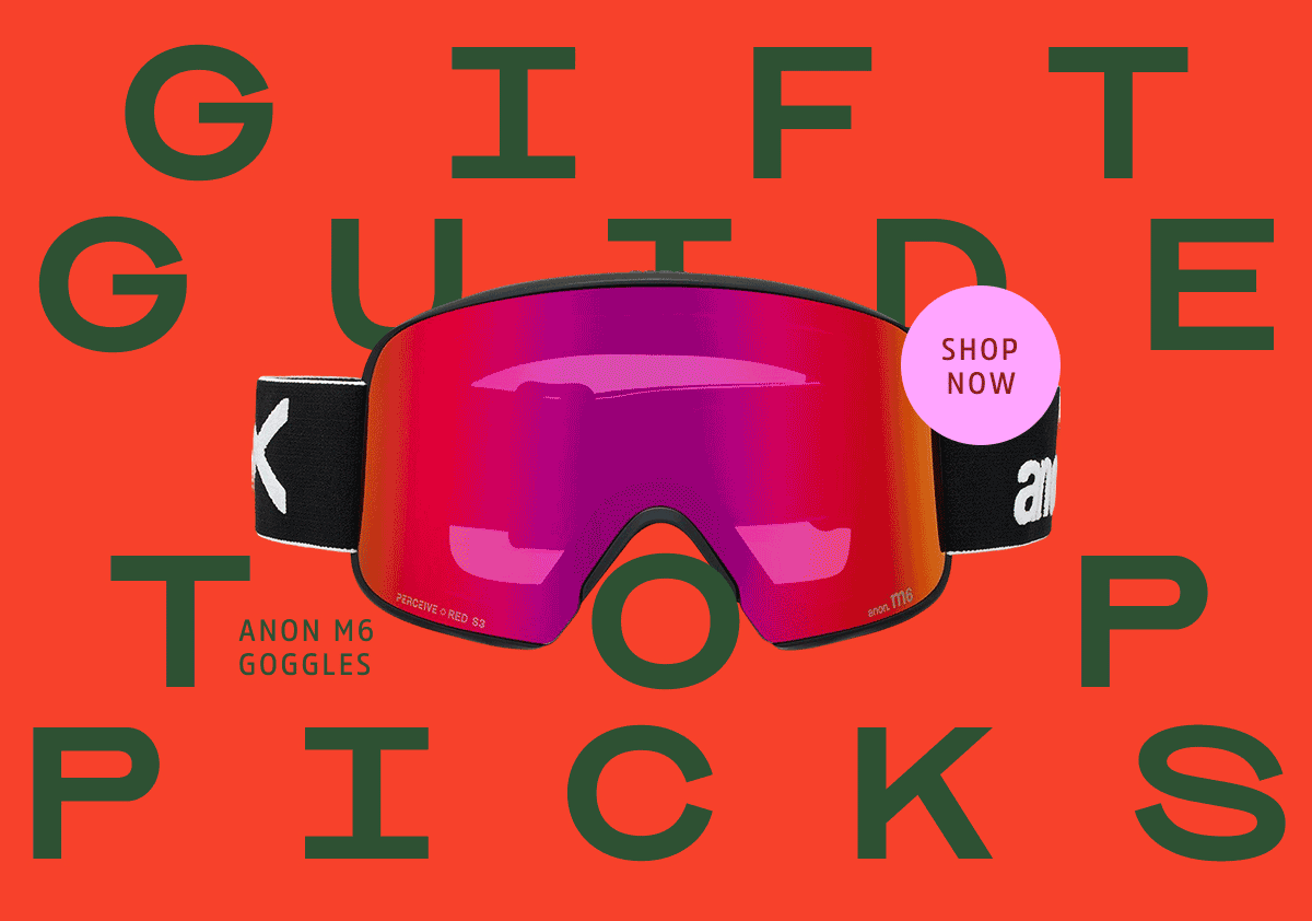 Gift guide top picks