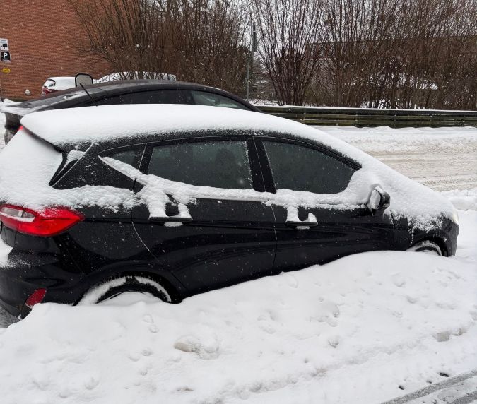 Fiskegrej Sport Dres