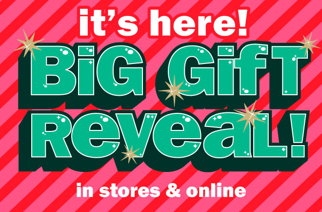 it's here! big gift reveal!