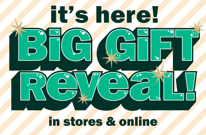 it's here! big gift reveal!