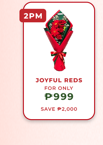 FS-20251210-1212Sale-NL_15