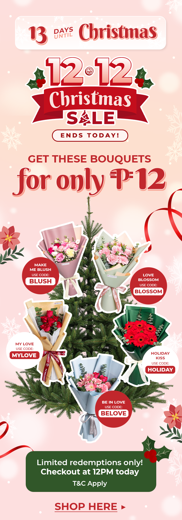 FS-20251212-1212Sale-NL_06_9366fd11