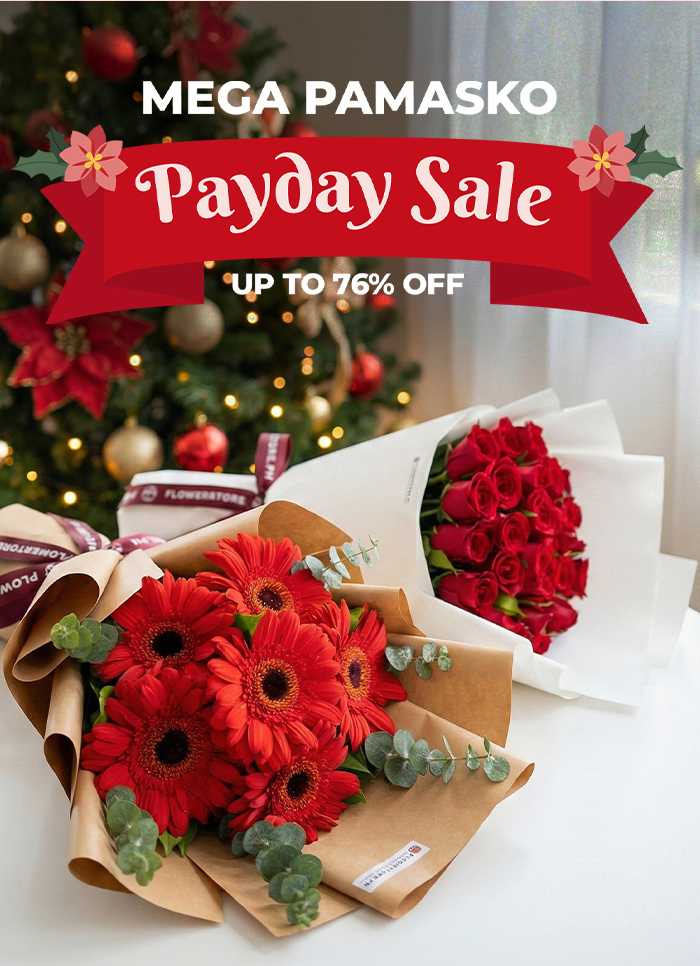 FS-20251215-Payday-Pamasko-Sale-NL_07