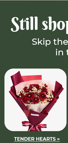 FS-20251220-MegaPamasko-NL_03