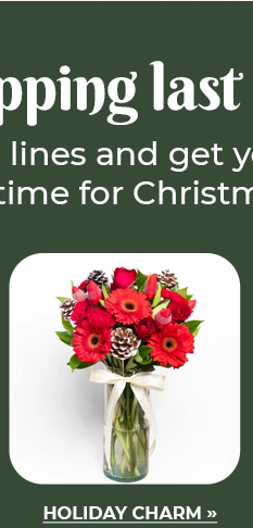 FS-20251220-MegaPamasko-NL_04